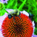 article image - 